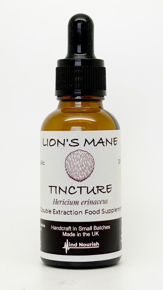 Lion's Mane: Clarity from the Forest